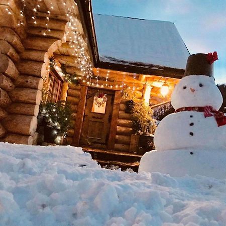 Apartamento Udany Weekend Ustrzyki Dolne Exterior foto