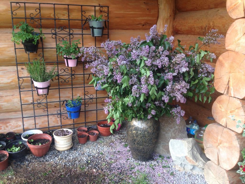Apartamento Udany Weekend Ustrzyki Dolne Exterior foto
